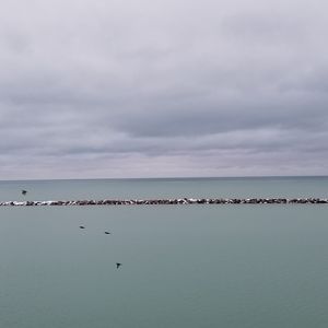 Meet your Posher, Santannah